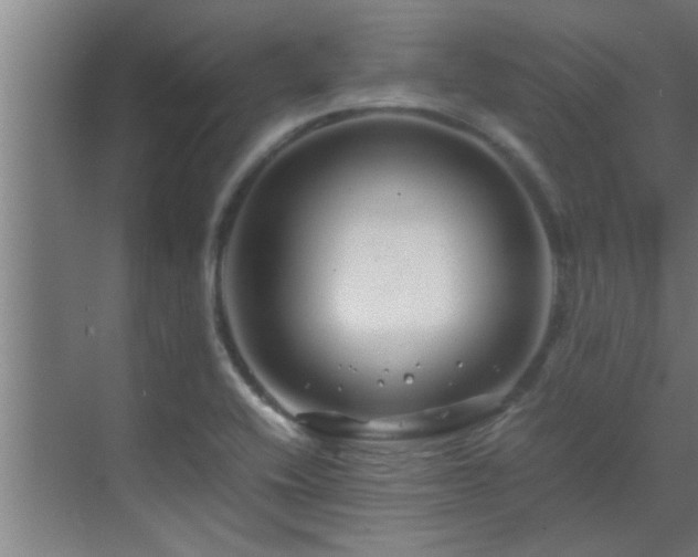 X0000070211416200605261240