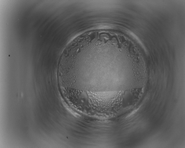 X0000070211417200605261240