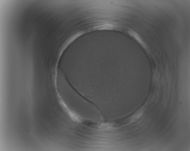 X0000070211418200605261240