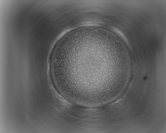 X0000070211419200605261240