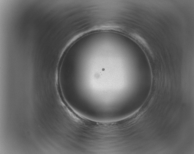 X0000070211420200605261240