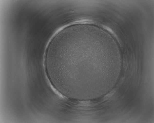 X0000070211421200605261240