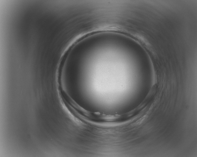 X0000070211422200605261240