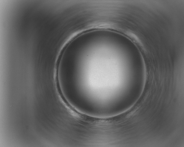 X0000070211424200605261240