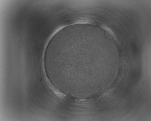 X0000070211427200605261240