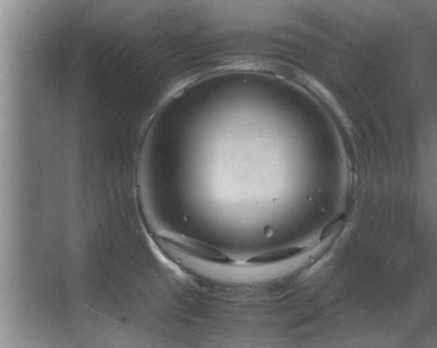 X0000070211433200605261240