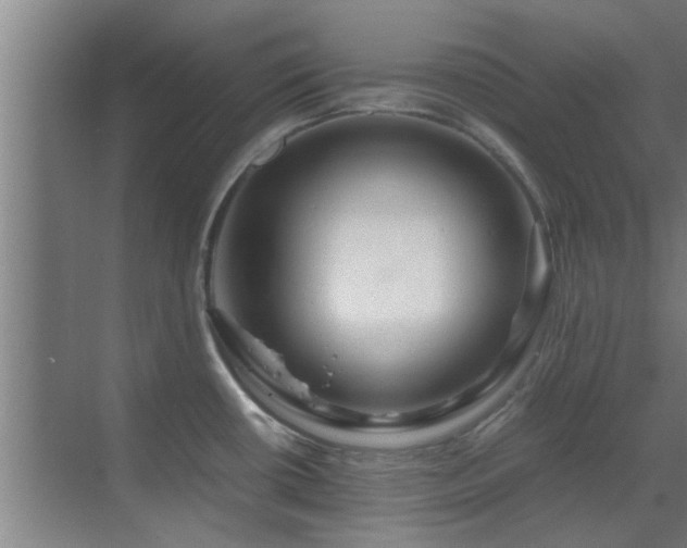 X0000070211434200605261240