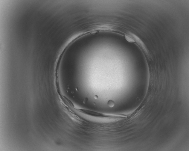 X0000070211435200605261240