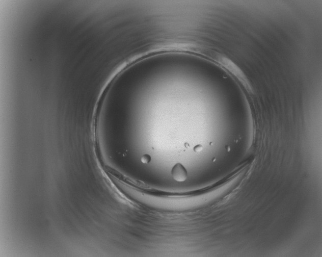 X0000070211436200605261240