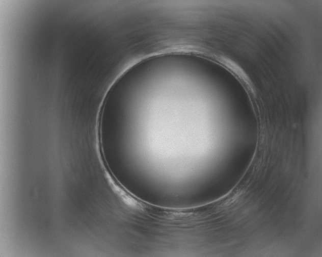 X0000070211439200605261240