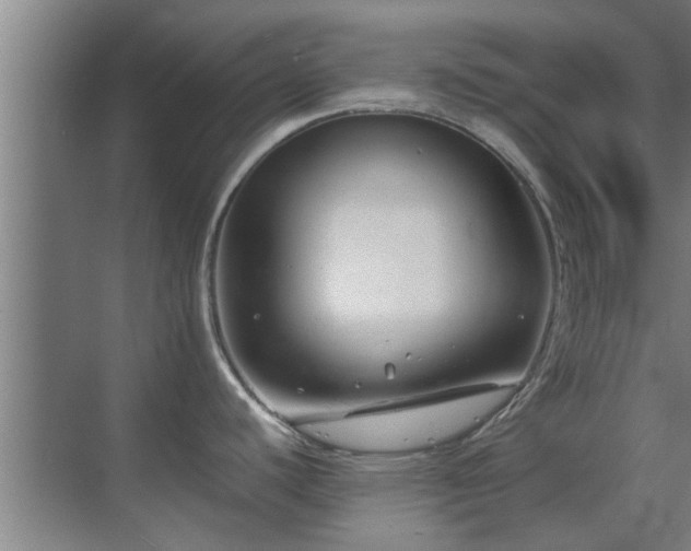 X0000070211440200605261241