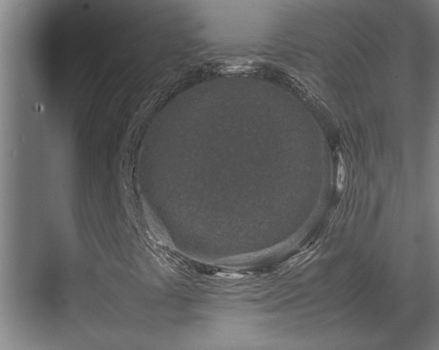 X0000070211441200605261240