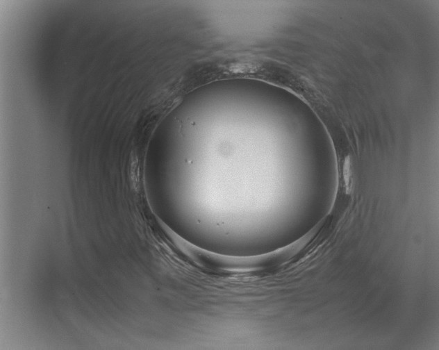 X0000070211443200605261240