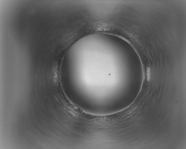 X0000070211444200605261240