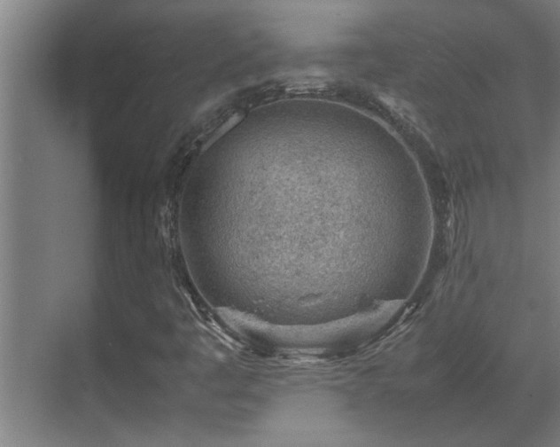 X0000070211445200605261240