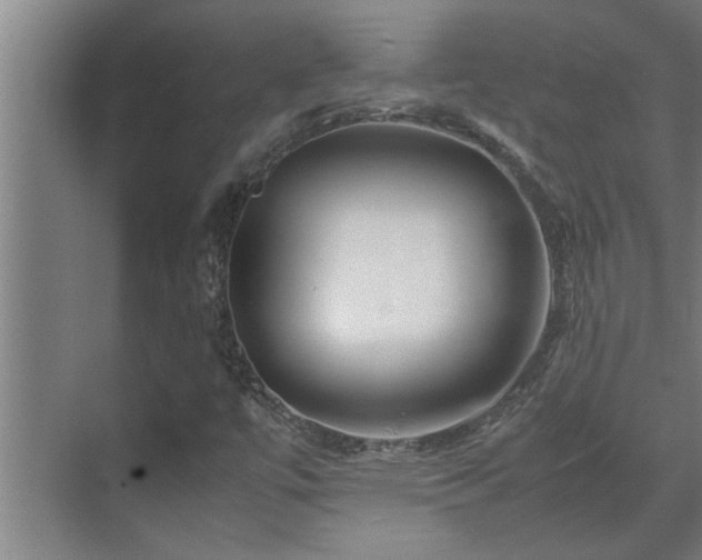 X0000070211447200605261240