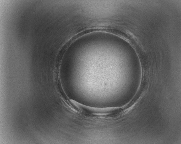 X0000070211449200605261240