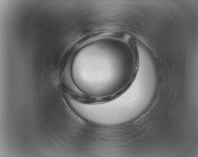 X0000070211450200605261240