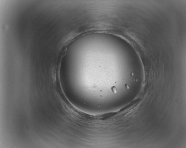 X0000070211451200605261240