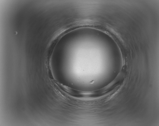 X0000070211453200605261239