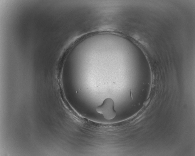 X0000070211454200605261239