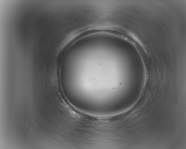 X0000070211456200605261239