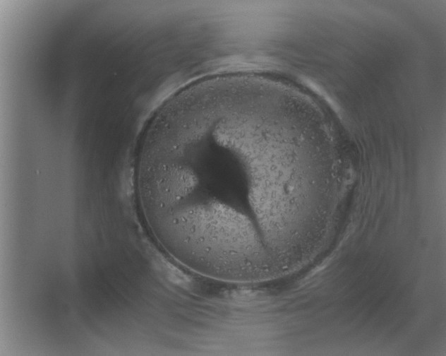 X0000070211459200605261239