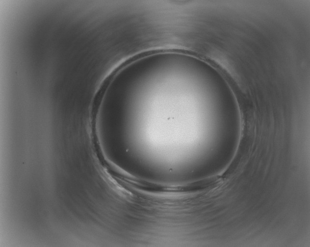 X0000070211460200605261239