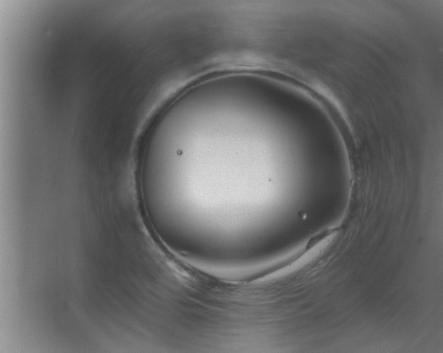 X0000070211464200605261239