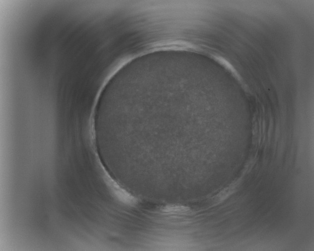 X0000070211466200605261239