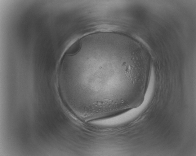 X0000070211467200605261239