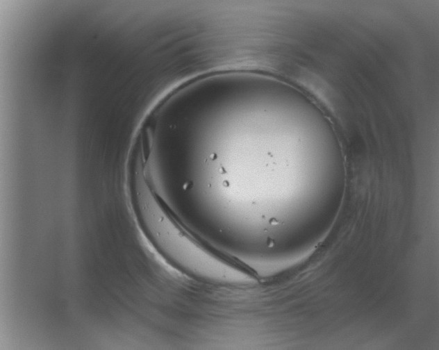 X0000070211468200605261239