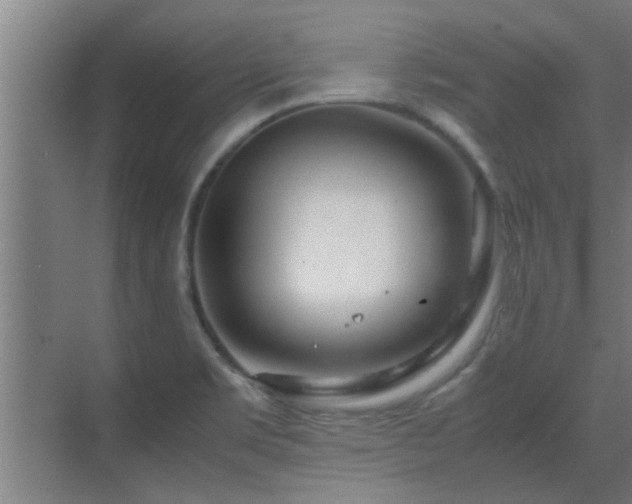 X0000070211469200605261239