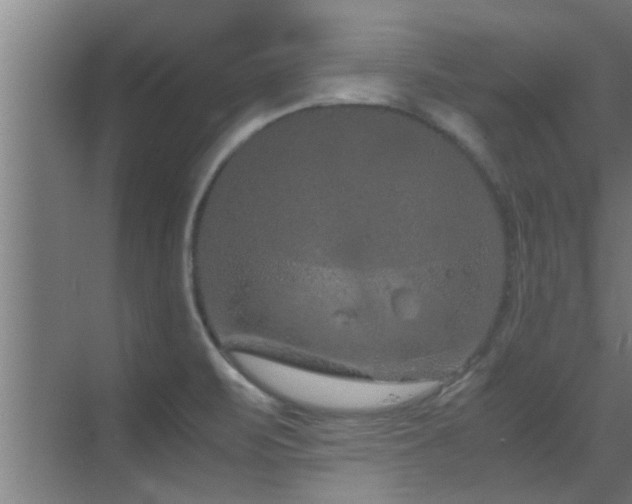 X0000070211471200605261239