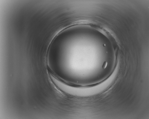 X0000070211473200605261239