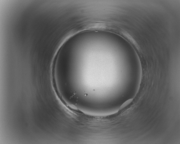 X0000070211475200605261239