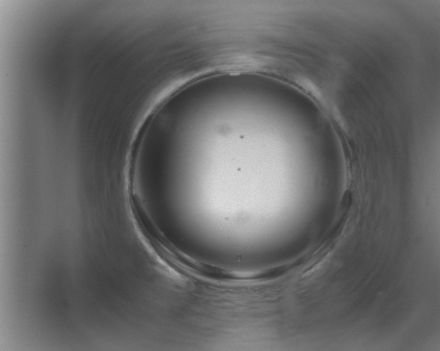 X0000070211477200605261239