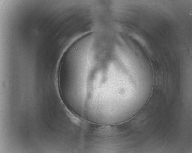 X0000070211478200605261239