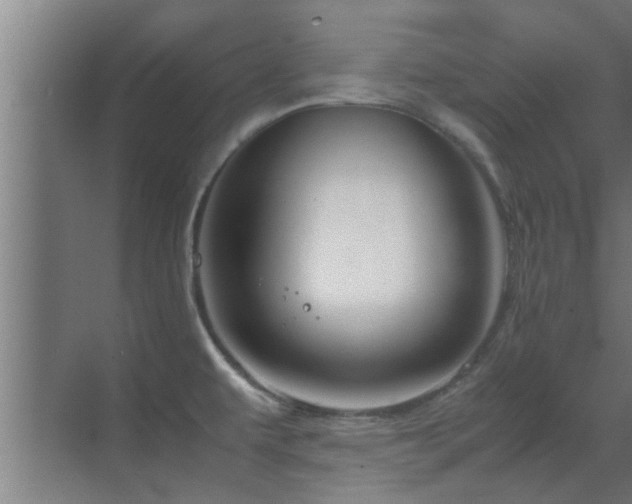 X0000070211479200605261239