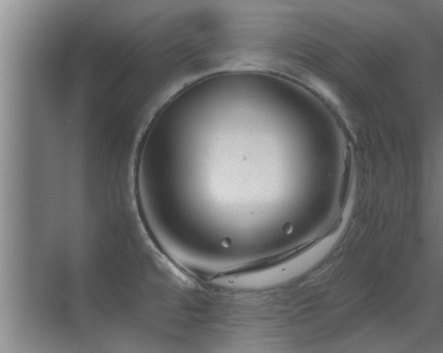 X0000070211480200605261239