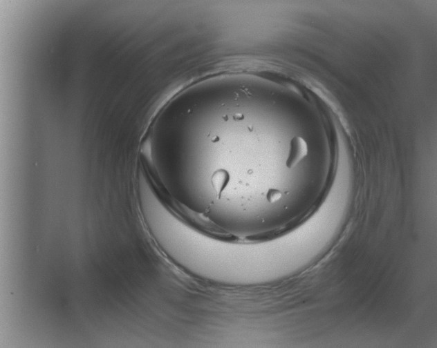 X0000070211481200605261239