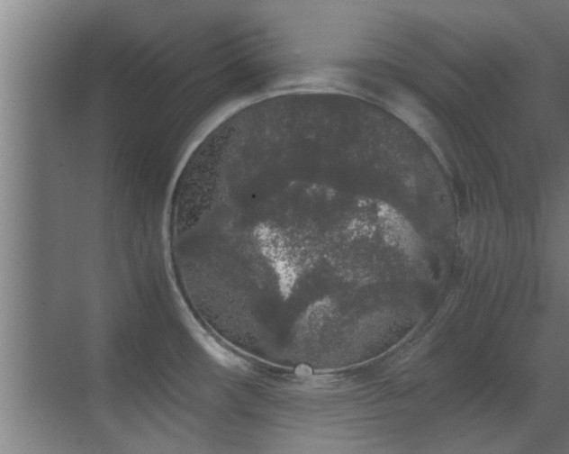 X0000070211482200605261239