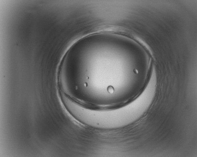 X0000070211483200605261239