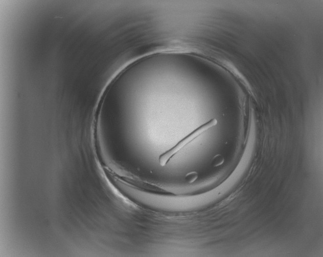 X0000070211484200605261239