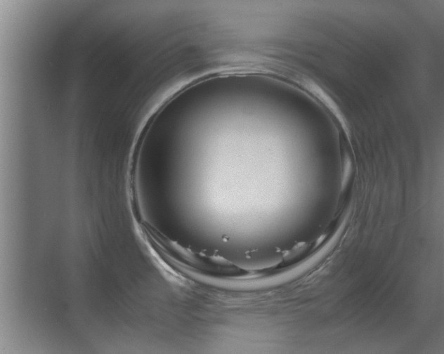 X0000070211485200605261239