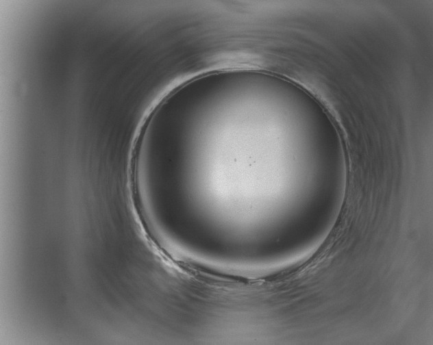 X0000070211488200605261239