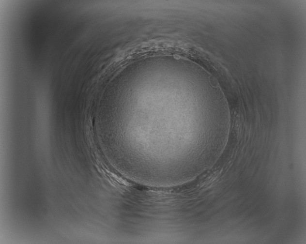 X0000070211489200605261238