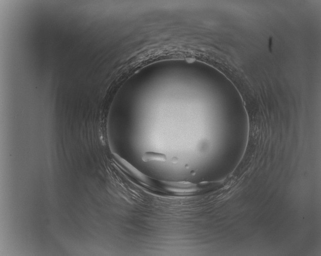 X0000070211490200605261238