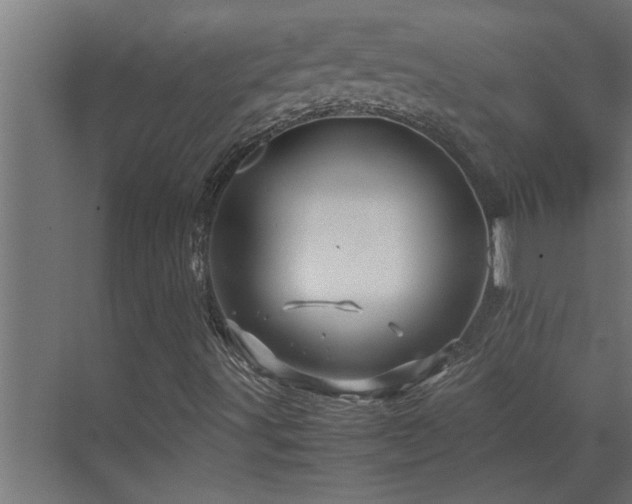 X0000070211491200605261238