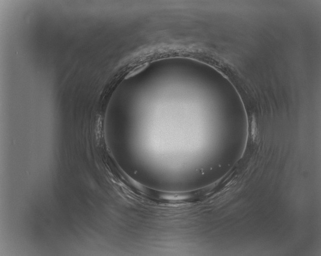 X0000070211492200605261238